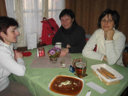 silvestr 2008